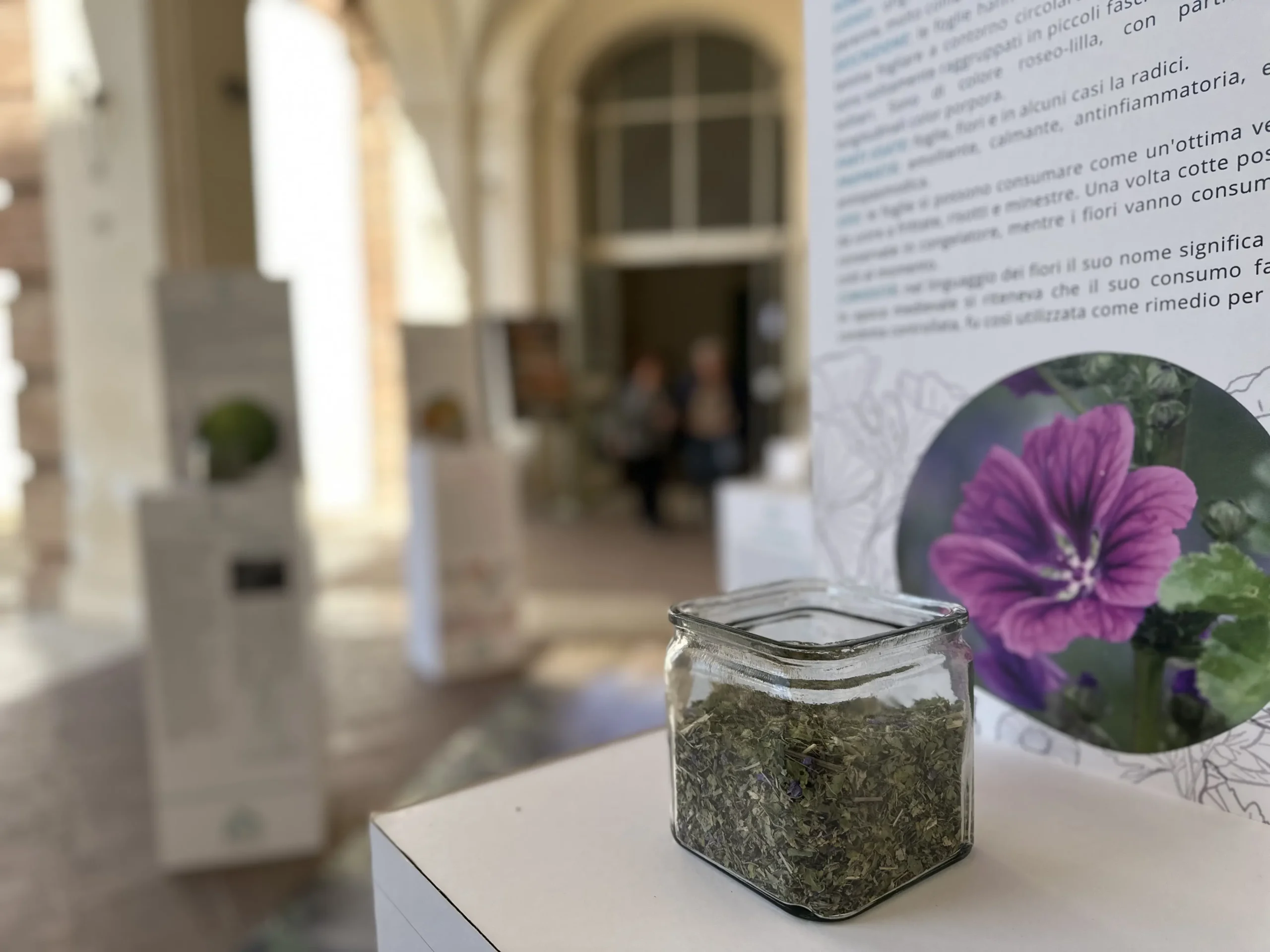 fondazione bartoli mostra sensoriale