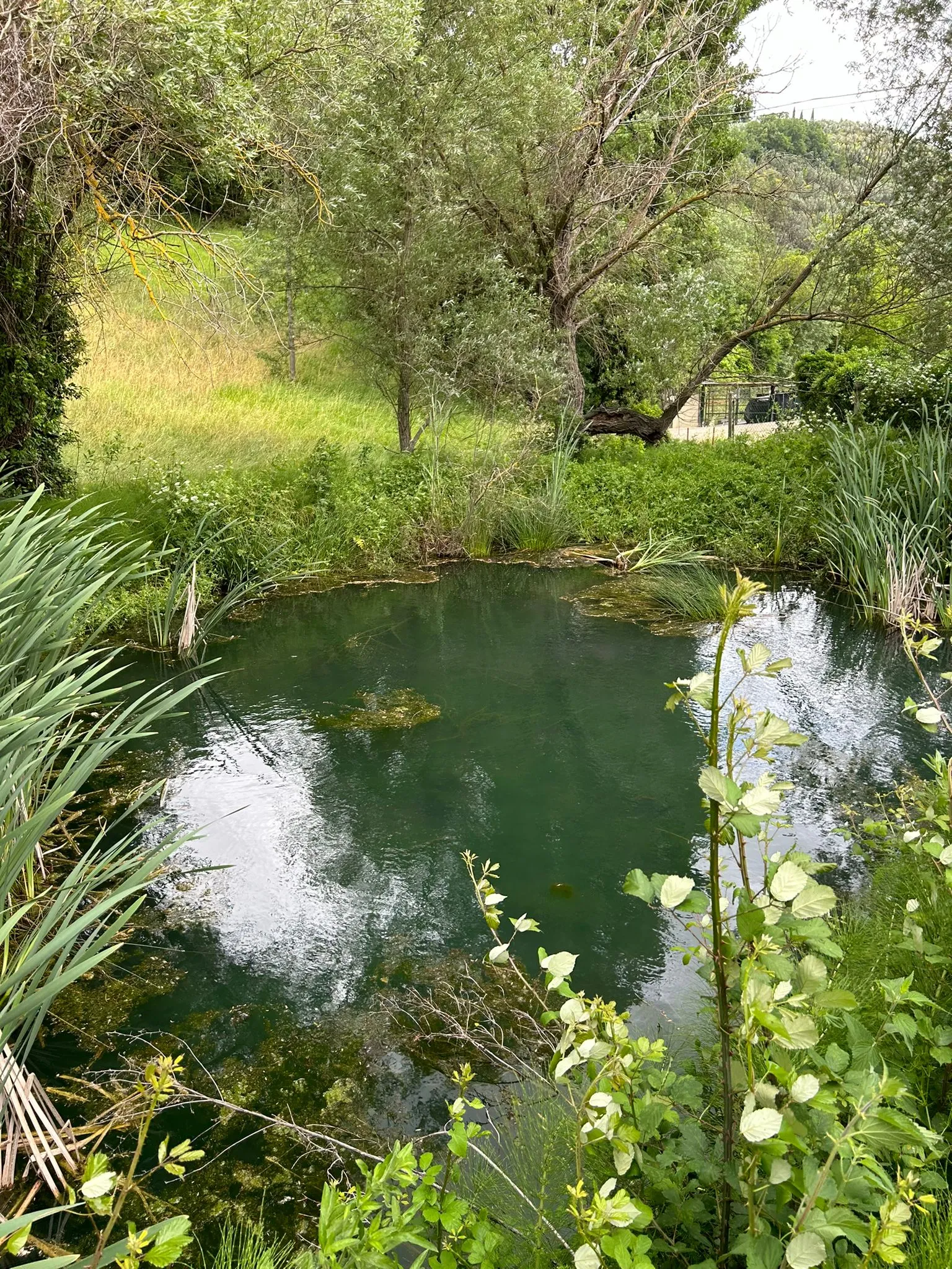 fondazione bartoli parco del menotre