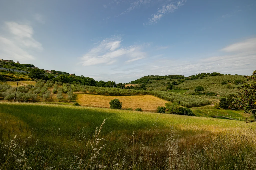 fondazione bartoli
