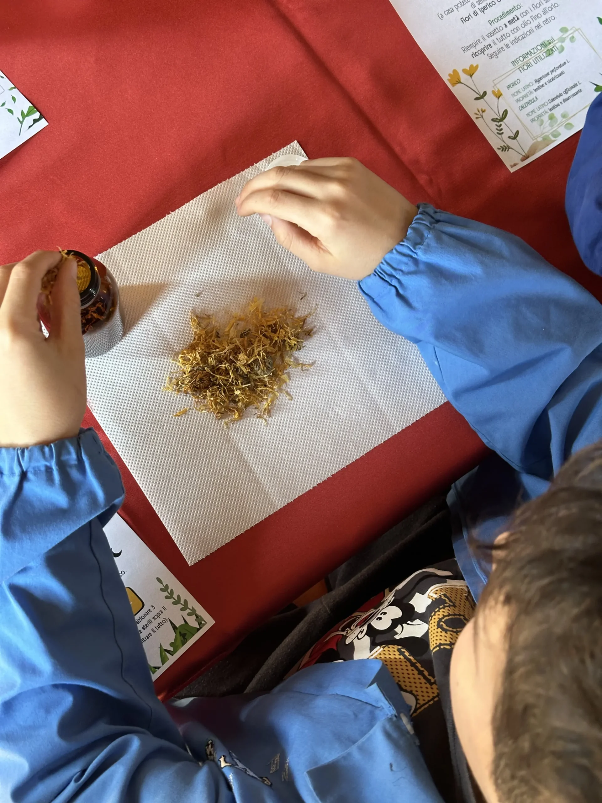 fondazione bartoli Educazione, divulgazione ed eventi speciali
